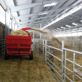  – stlaní v nové stáji